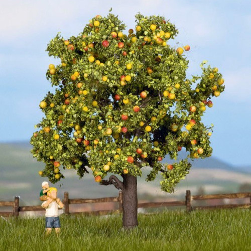 Noch 21560 apfelbaum mit - noch,