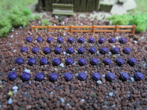 Sp1282tt rotkohl stück - 40,