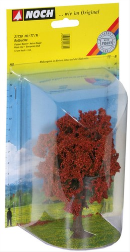 21730 noch rotbuche 13cm hoch - noch,
