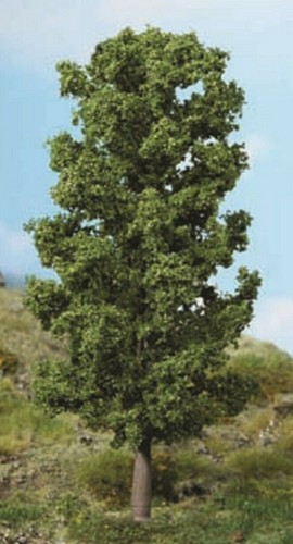 Heki 1981 buche baum laubbaum - 1981,
