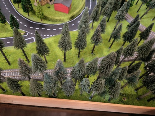 Tannenbäume wald baum für - tannenbäume,