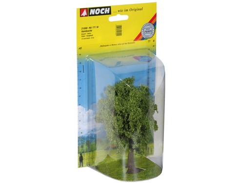 Noch 21690 hainbuche - hainbuche, 13