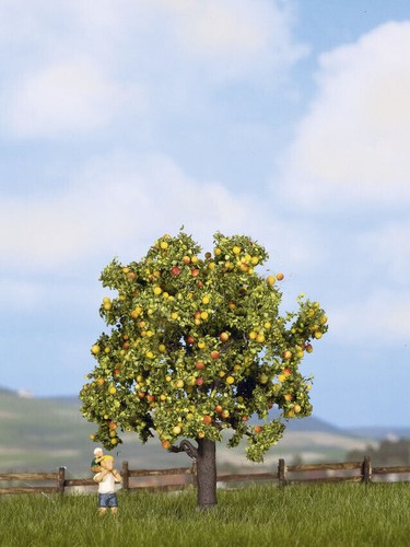 Noch 21560 apfelbaum - noch,