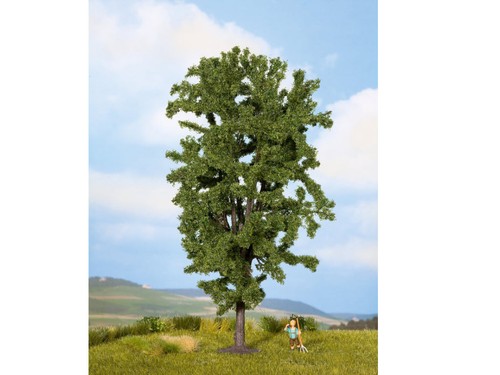 Noch 25895 rosskastanie - 25895,