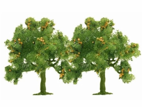 Busch 6628 apfelbaum - busch,