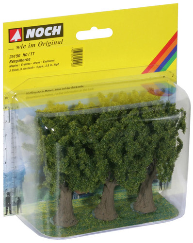 Noch bergahorne cm - noch, 9