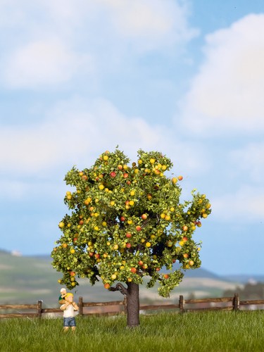 Noch 21560 apfelbaum - noch,
